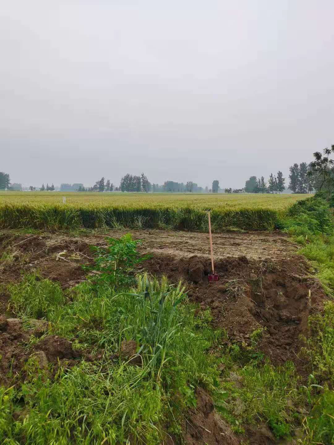 無(wú)人農(nóng)場(chǎng)監(jiān)控